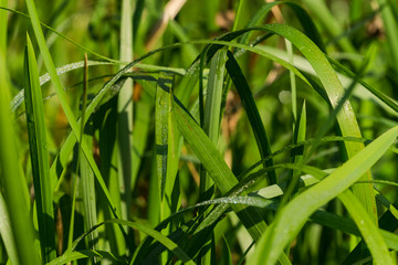 Colorful autumn nature outdoor scene