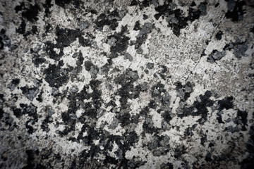 Old cement wall. Texture of gray concrete. old grunge interior, vintage background.