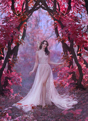 mysterious attractive lady in a long light luxury dress in a magical pink forest, gate to the...