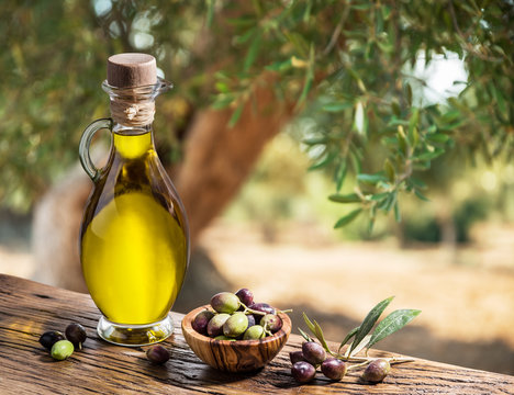 Bottle of olive oil and berries are on the wooden table under the olive tree.