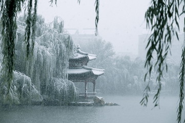 Winter inChinese Park