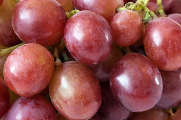 tasty grapes branch closeup