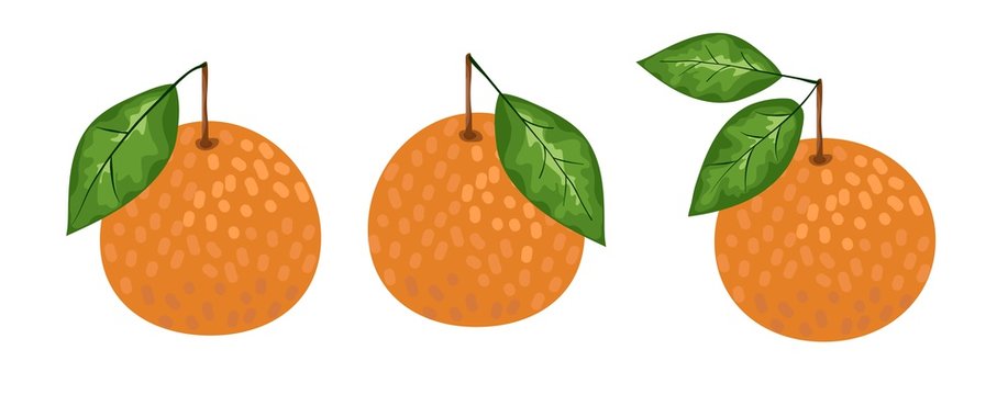 Tangerine or mandarin orange citrus fruit with leaf flat vector color icon for apps and websites