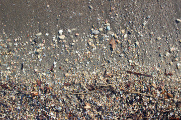 Wet beach sand pebbles stones algae traces surface