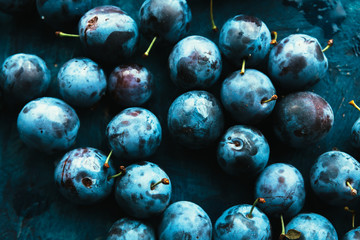 many fresh plums on blue background close up.