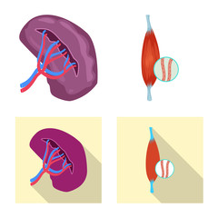 Vector illustration of body and human logo. Collection of body and medical stock symbol for web.