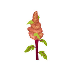 Flat vector icon of sorghum. Cereal plant. Organic agricultural crop. Harvest and farming theme