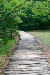Fototapeta na wymiar Path in Plitvice