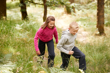 Naklejka na ściany i meble Two children walking together in a forest amongst greenery, three quarter length, side view