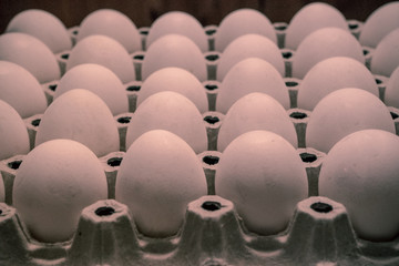 Tinted package of white chicken eggs