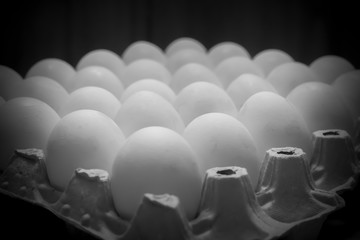 Monochrome package of white chicken eggs