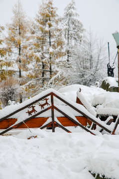 Winter Park Outdoors