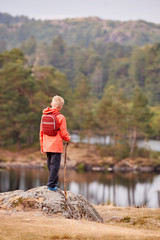 Obraz premium A boy standing on a rock admiring a view of lake, back view, Lake District, UK