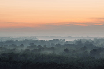 Mystical view from top on forest under haze at early morning. Eerie mist among layers from tree silhouettes in taiga under predawn sky. Morning atmospheric minimalistic landscape of majestic nature.