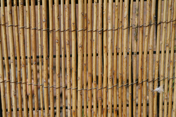 Image of Bamboo fence