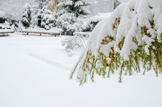 Winter Park Outdoors