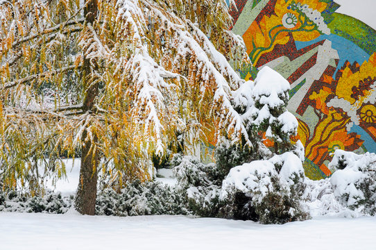 Winter Park Outdoors