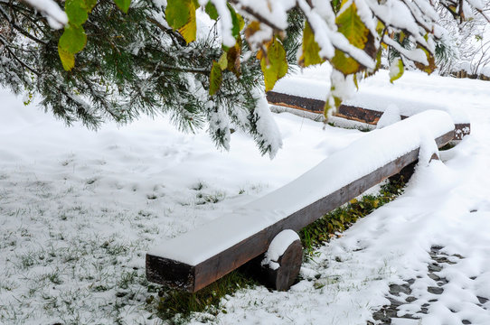 Winter Park Outdoors