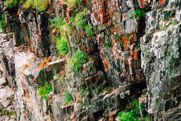 Mossy orange rocky layered surface of mountain with rich vegetations of highlands. Plants, mosses and lichens on cliff. Detailed texture of mountainside with copy space. Textured rock with greenery.
