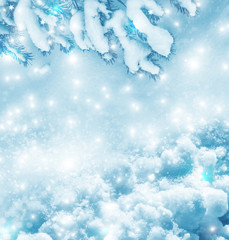  Frozen winter forest with snow covered trees.