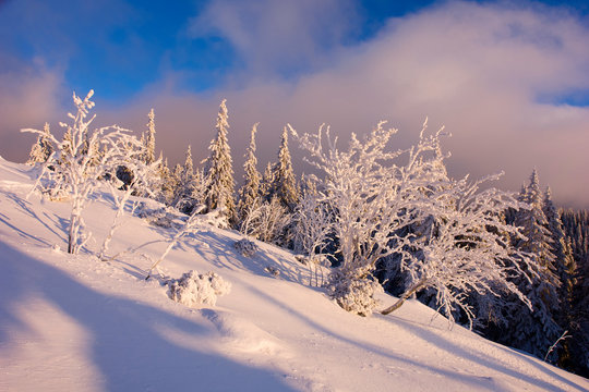 Sunny day in the winter mountains
