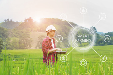 Smart Farming.Management Information System using technologies in agriculture.farmer with laptop computer in field using apps and internet of things(IOT) in production and agricultural research © mansong
