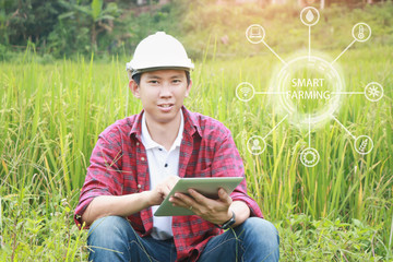 Smart Farming.Management Information System using technologies in agriculture.farmer with tablet computer in field using apps and internet of things(IOT) in production and agricultural research © mansong