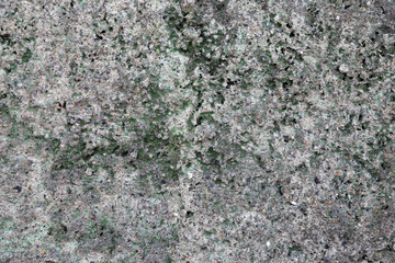 stone wall texture