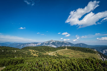 Obraz premium Almrausch