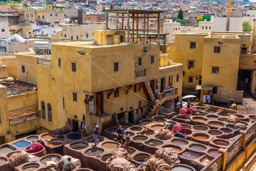FEZ, MOROCCO, 15 AUGUST 2018: Men working in the traditional and famous tanneries of the medina