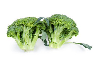 Branches of broccoli on a white background