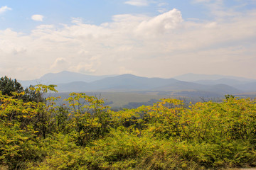 beauty in Nature sky mountain scenics Plant environment cloud tranquil scene landscape Tranquility Tree Growth non-urban