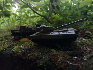 tank miniature in the garden