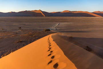 Fototapeta na wymiar On top of the Dune 45 in the Sossusvlei National Park