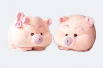 yellow boar symbol of the New year