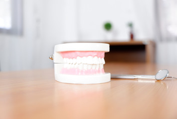 Teeth model on dentist's table in office, dental and medical concept.