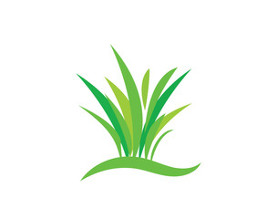 Green grass. Gazon. Vector icon. web version.