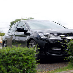 sport vehicle car black color parked in the park