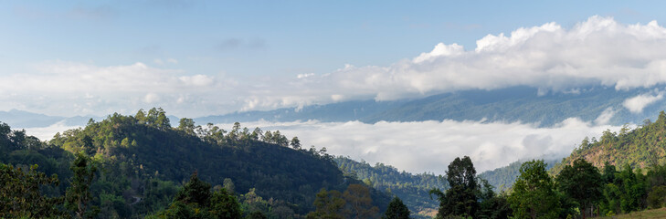Mountain and foggy at morning time , beautiful landscape in the thailand