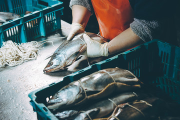 fish factory process