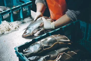Foto op Canvas fish factory process © agnormark