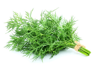 Fresh fragrant bunch of dill isolated.