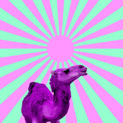 Minimal Contemporary collage art. Purple camel on a geometric background, Colorful concept
