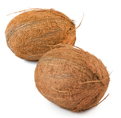 isolated image of coconut closeup