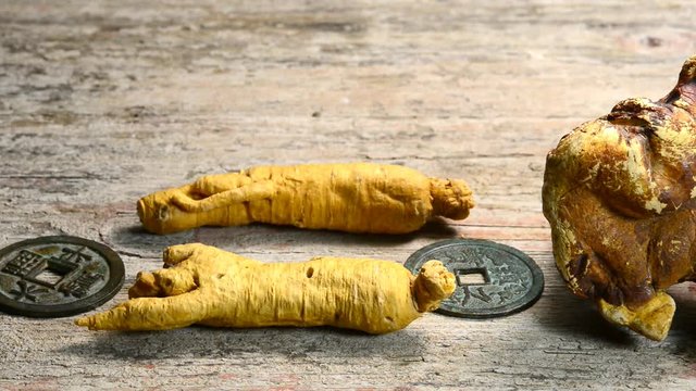 Ginseng roots and Reishi mushroom, famous Chinese herbal medicine