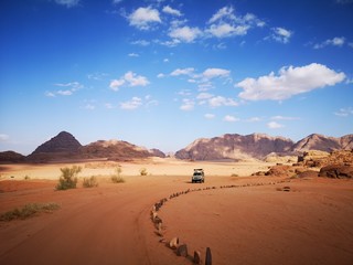 Fototapeta na wymiar safari in a desert