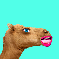 Minimal Contemporary hipster collage art. Camel man. Fun art