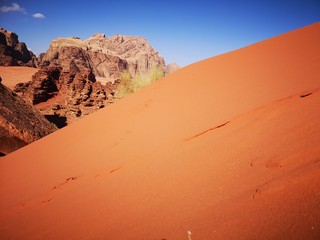 Fototapeta na wymiar dune in a desert