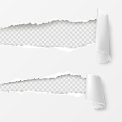 Gaps with ripped and scrolled edges on torn parer realistic vector illustration with copyspace. Holes with damaged sides in white sheet or background. Advertising banner or web page design element