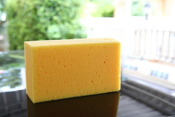 yellow sponge used car wash